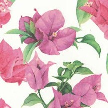Pink Bougainvillea Floral Print Italian Paper ~ Tassotti